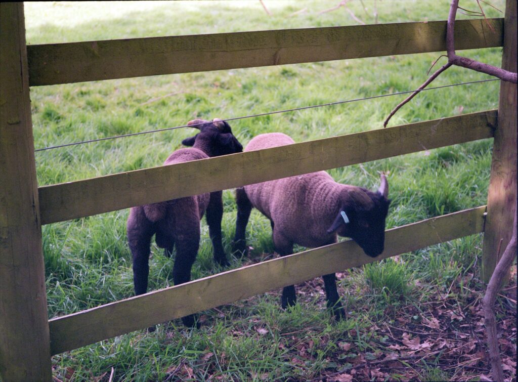 michael-elliott-S8vcak13RIc-unsplash