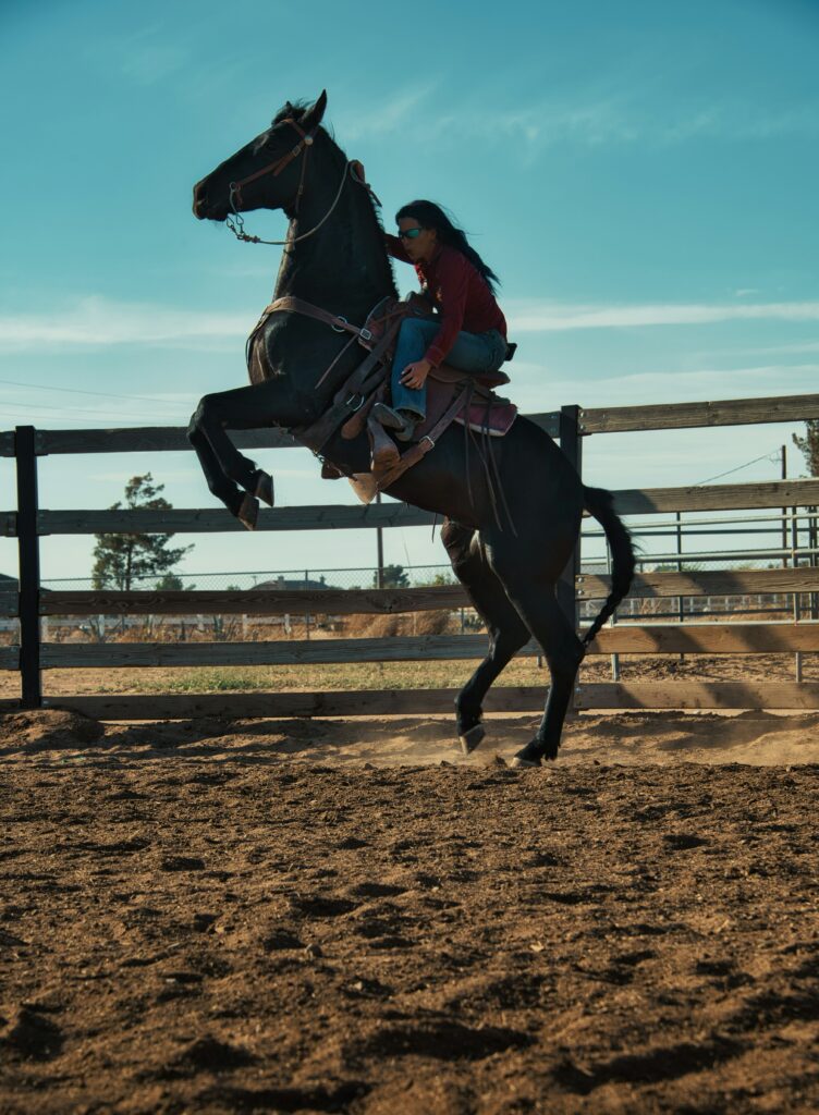 venti-views-d2IPCW4iJes-unsplash